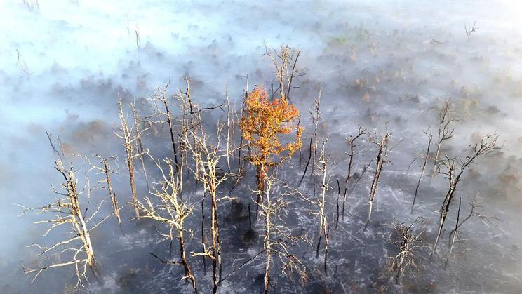 A drone view shows smoke and fog above burnt forest affected by a wildfire near Soumos in France