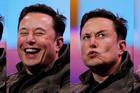 Elon Musk žena