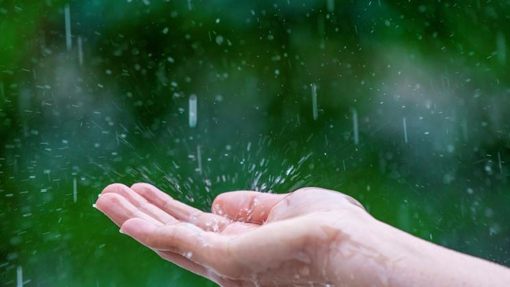 Fire danger in the Czech Republic has ended: Meteorologists have lifted the long-term warning