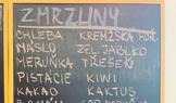Když návštěvník poprvé vstoupí do zmrzlinárny Ralsko v Mimoni a zastaví se před vitrínami se zmrzlinou, většinou chvíli jen nevěřícně zírá. 