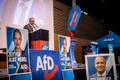 Předvolební kampaň v Bavorsku, Sjezd AfD