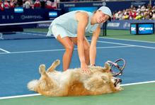 Tennis: National Bank Open