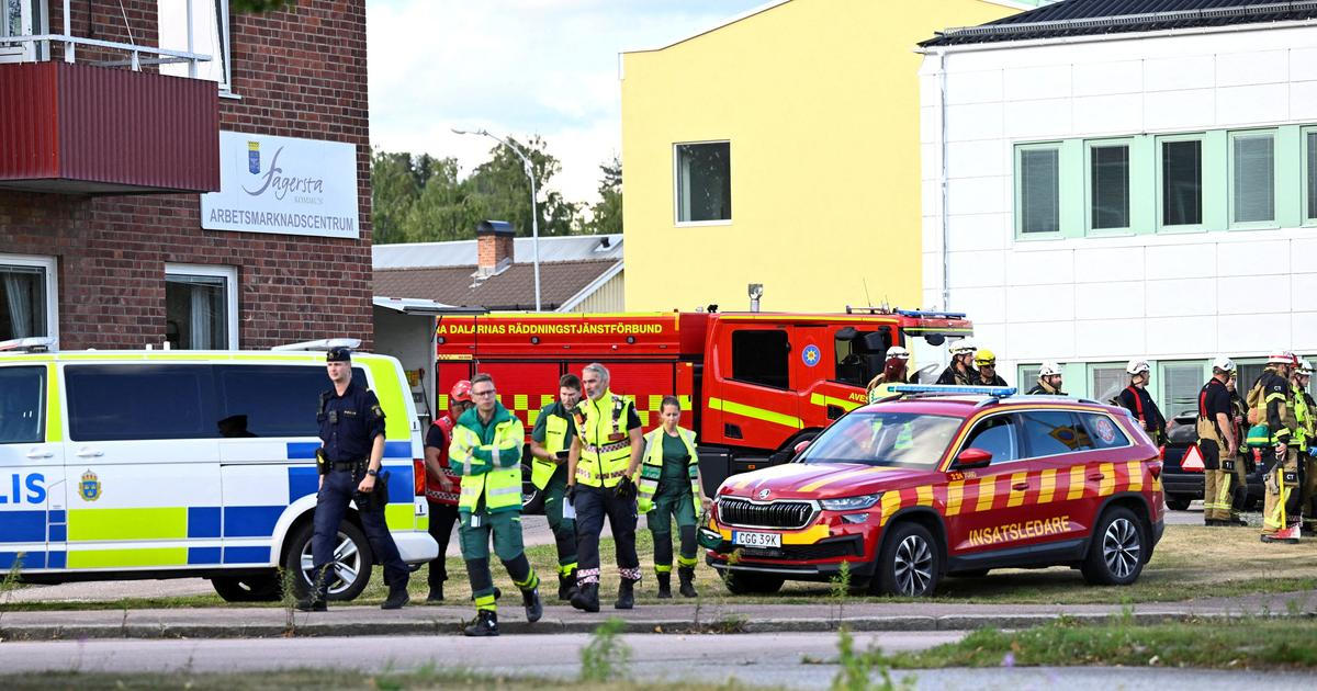Nebylo to poprvé. Podezřelý z vraždy mečem ve švédské škole útočil už dříve