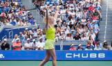 U.S. Open