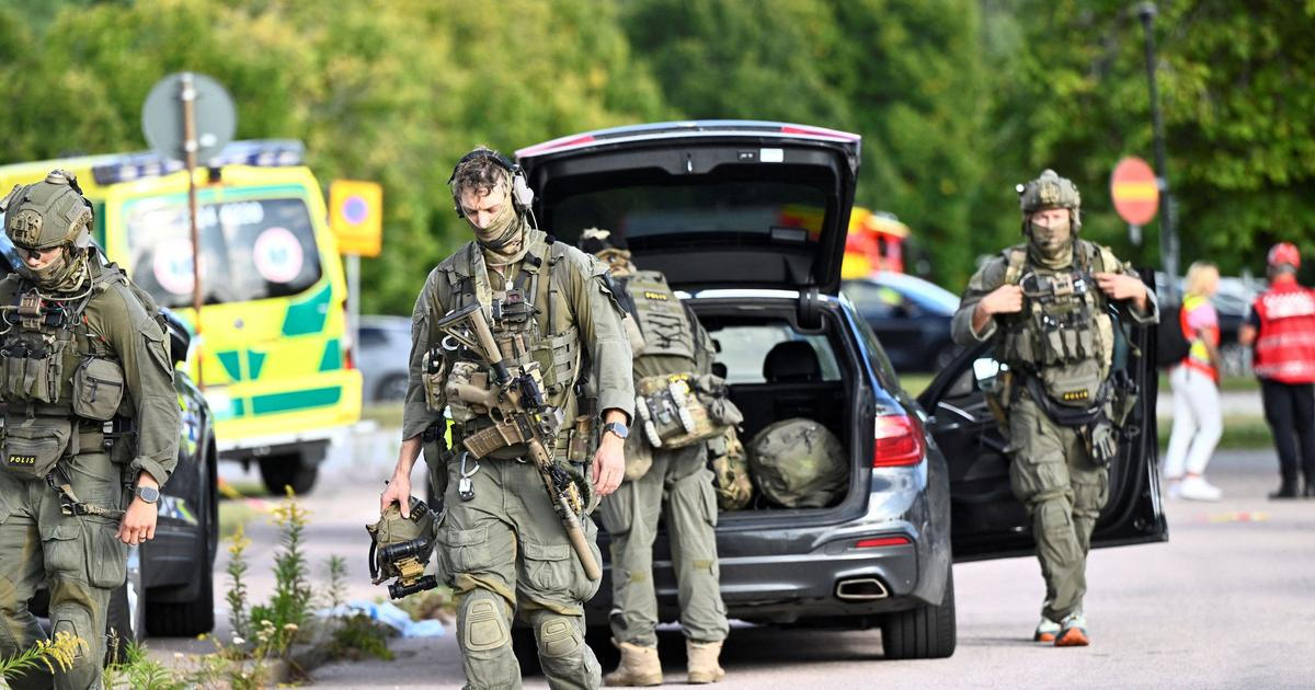 Nové zjištění v kauze vraždy mečem: Útočník ze švédské školy měl zřejmě komplice