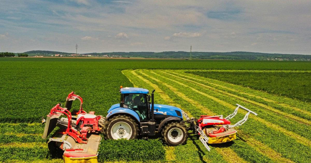 Komentář: Žádný dárek pro agrobarony. Proč je důležitá změna pravidel prodeje zemědělské půdy