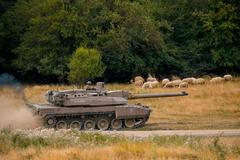 Romania NATO Exercise