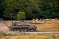 Romania NATO Exercise
