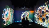 Výstava Echoes of Tomorrow v pražské galerii digitálního umění Signal Space.