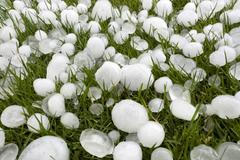Close-up,Of,Hailstones,On,Grass,After,Thunderstorm