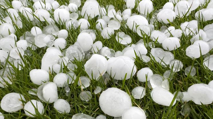 Close-up,Of,Hailstones,On,Grass,After,Thunderstorm