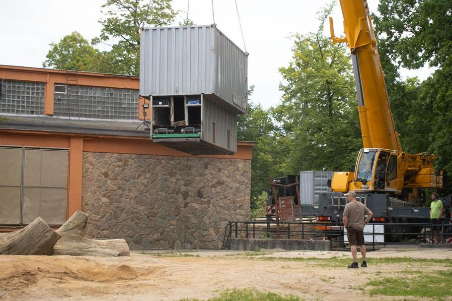 Příprava slonice Baly na transport ze Zoo Liberec do jejího nového domova ve Walesu, 30. srpna 2026.
