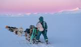 Hvízdalův tehdejší šéf měl za sebou službu u dánské Sirius Dog Sled Patrol, vojenské jednotky, která se psími spřeženími hlídkuje v severovýchodním Grónsku.