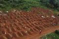 FILE PHOTO: A day in the life of Congo's overstretched Ebola surveillance teams