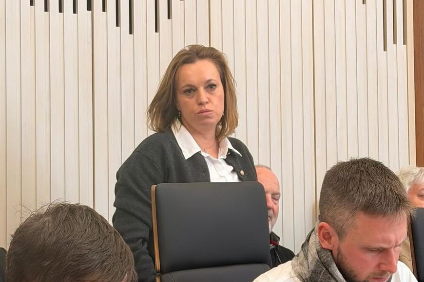 Politička z Babišova ANO chce „umlčet“ aktivistu. Její muž má průšvih v kolosální kauze