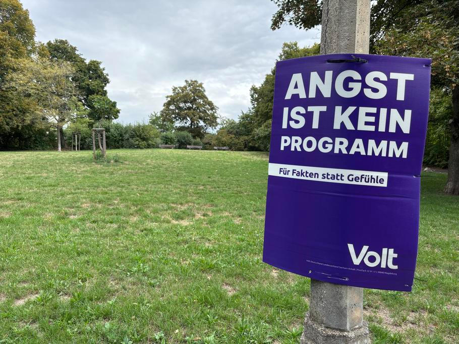 Z kampaně jiných stran je zase zřejmé, že se vůči extremistické AfD silně vymezují. Partaj Volt třeba oblepila ulice výraznými kartony s mottem „Angst ist kein Program“ (strach není program). Volt je jednou ze stran, které se v průzkumech pohybují pod pěti procenty, a nepočítá se, že by po nedělních volbách obsadily křesla v zemském sněmu v Magdeburgu.