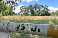 Pastviny u hřebčína v Napajedlích, které získaly památkovou ochranu.