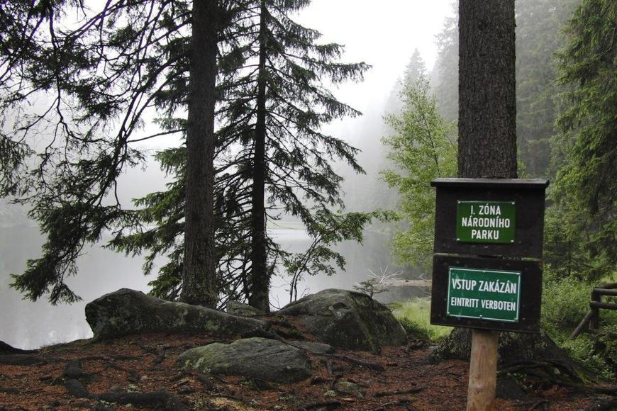 Na území národního parku Šumava unikají toxické látky, podle Turka jde o plyn fosgen