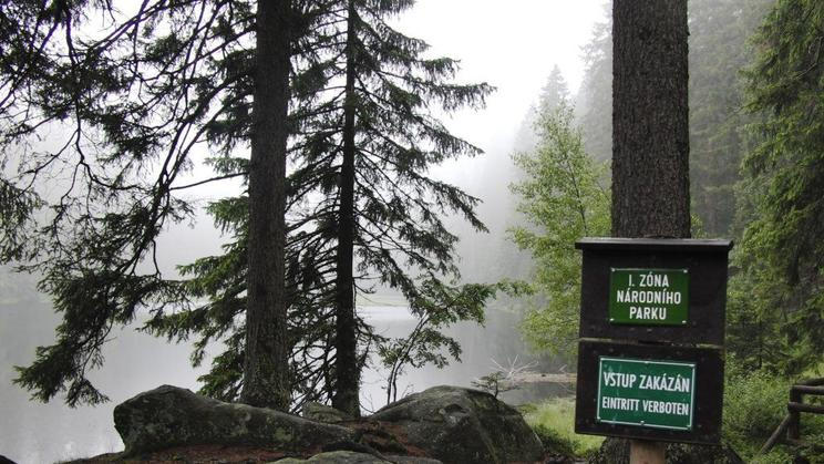 Šumava - První zóna národního parku