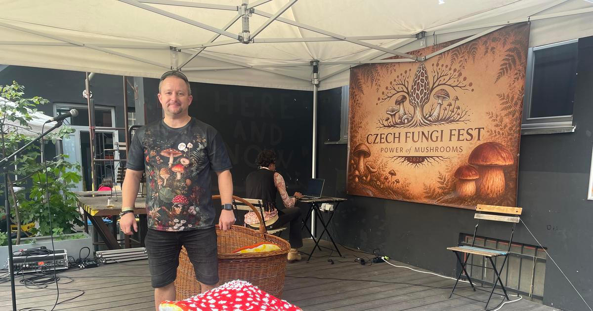 Houby na talíři, na hlavě i na plátně. Na festival dorazil „lysohlávkolog“ i pravý Hřib