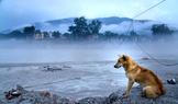 APTOPIX Nepal Floods