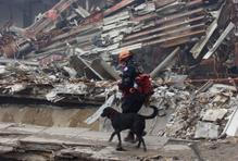 Terrorist Attack