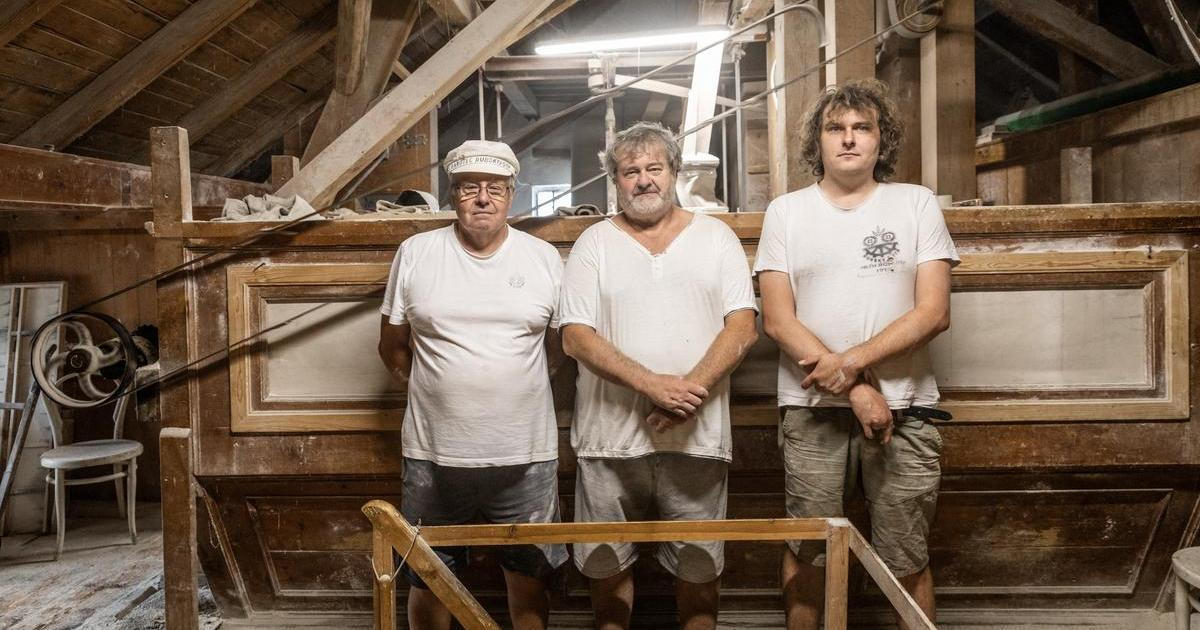 Poslední z padesáti. Rodinný mlýn pod Brdy mele mouku i na mašině ze století páry