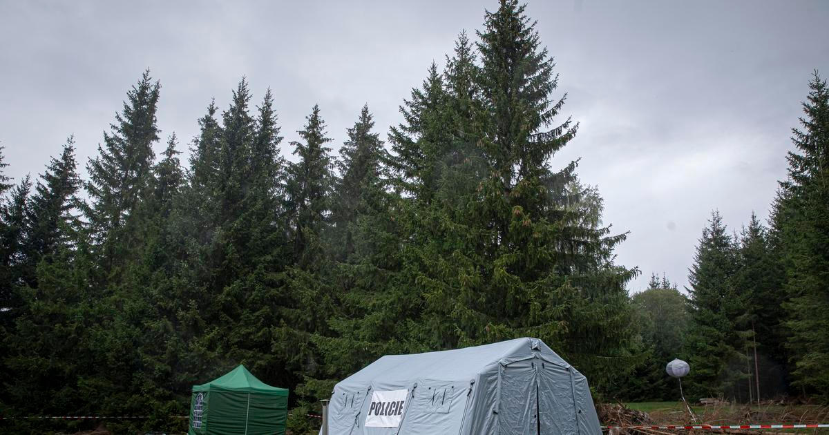Jedy na Šumavě bude likvidovat armáda. Vláda změnila plán s firmou Dekonta