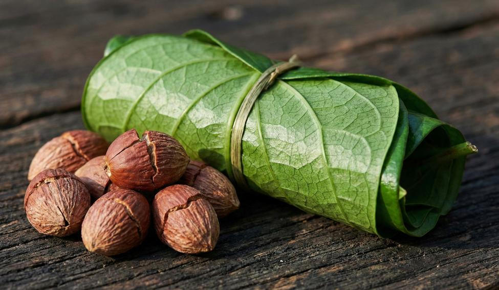 Close-up,Of,Betel,Nuts,And,Fresh,,Rolled,Betel,Leaves,Tied