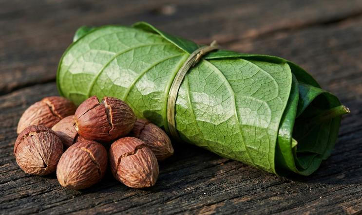 Close-up,Of,Betel,Nuts,And,Fresh,,Rolled,Betel,Leaves,Tied