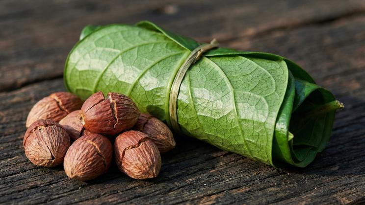 Close-up,Of,Betel,Nuts,And,Fresh,,Rolled,Betel,Leaves,Tied
