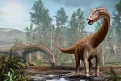 Diplodocus,Dinosaur,Scene,From,The,Jurassic,Era,3d,Illustration