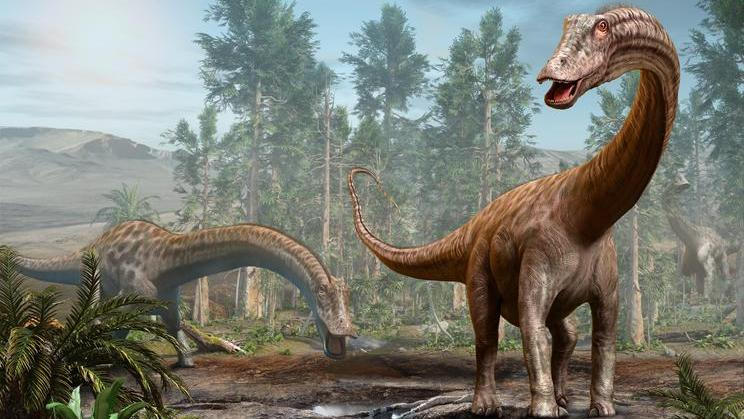 Diplodocus,Dinosaur,Scene,From,The,Jurassic,Era,3d,Illustration
