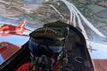 Show Red Arrows z kokpitu letadla během Dnů NATO v Ostravě