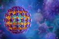 HPV virus