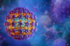 HPV virus