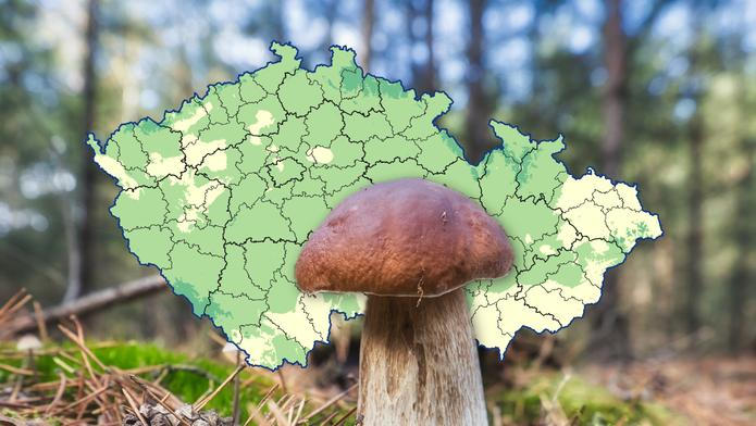 Mapa růstu hub k 17. září 2026