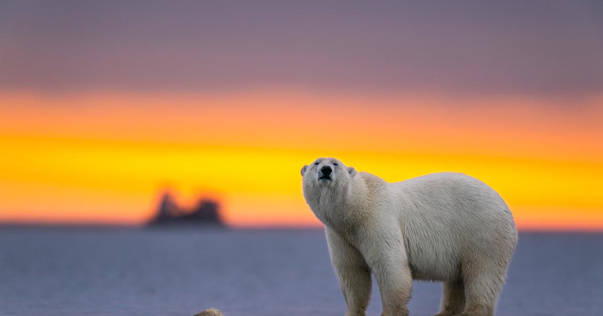 "Nemáme planetu B!" Tisíce lidí se ve Švýcarsku zvedly kvůli oteplování klimatu