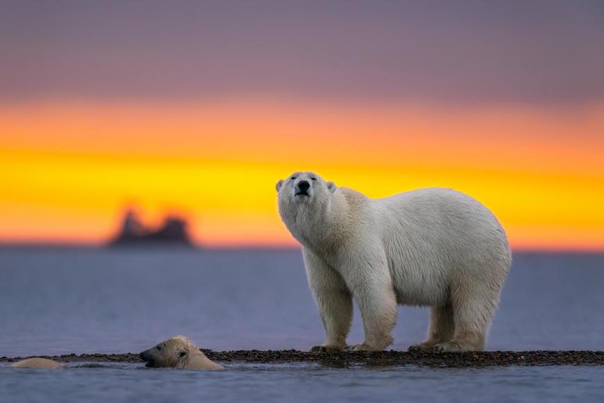 "Nemáme planetu B!" Tisíce lidí se ve Švýcarsku zvedly kvůli oteplování klimatu