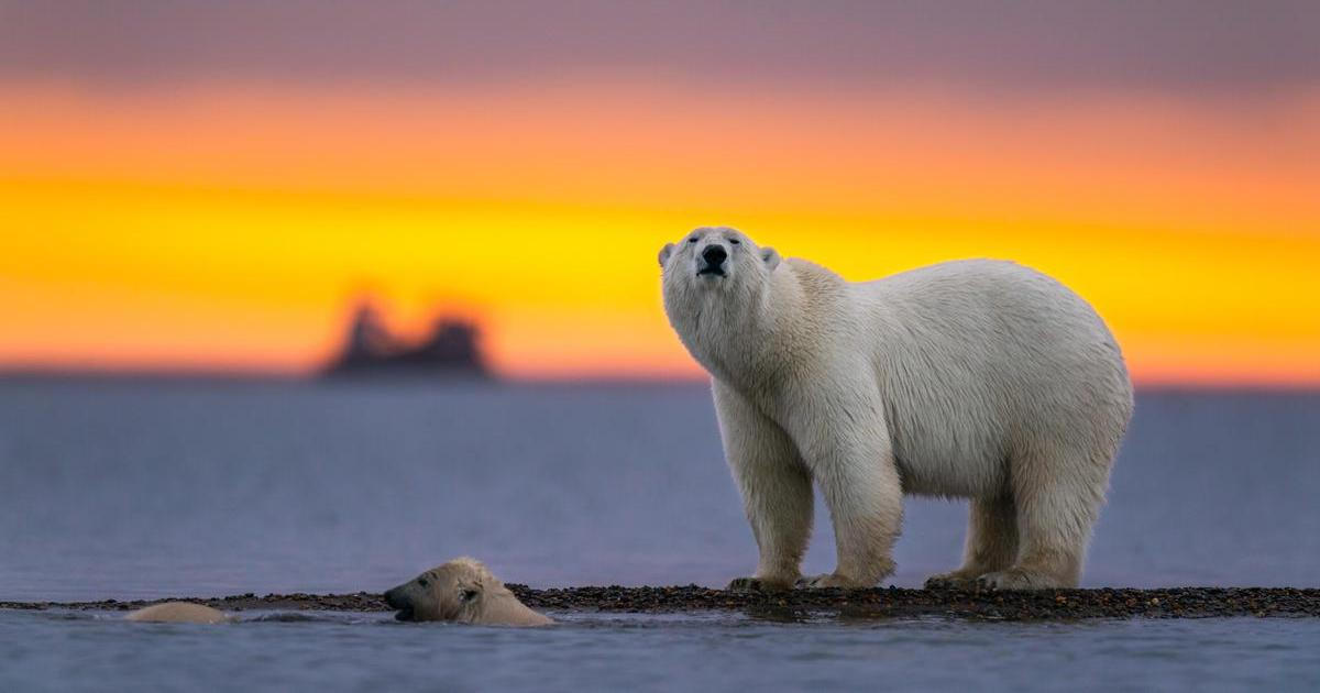 "Nemáme planetu B!" Tisíce lidí se ve Švýcarsku zvedly kvůli oteplování klimatu