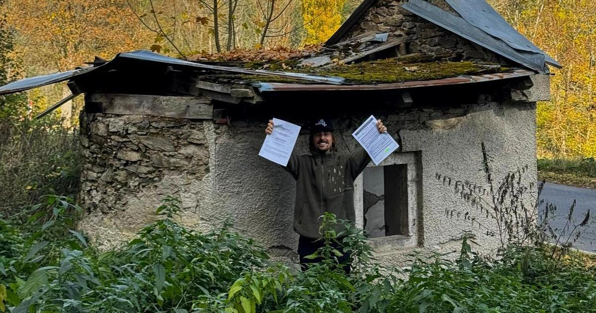 Na Šumavě zachraňují to, čeho si ostatní přestali všímat. Jeden hashtag spustil nečekaný řetězec