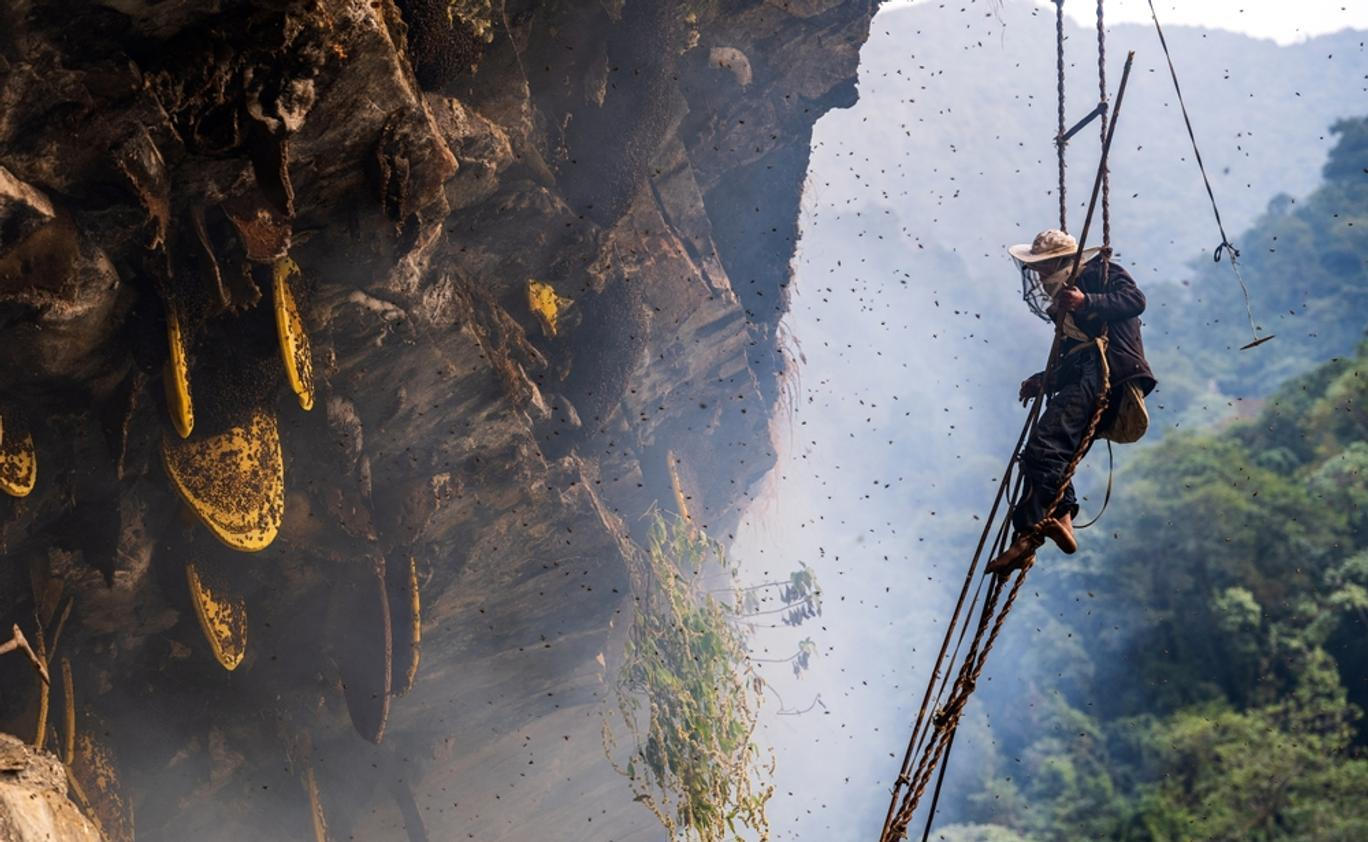 Foto: Archiv výrobce