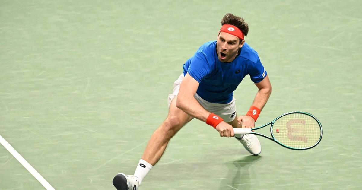 Ty ještě hraješ tenis? A proč? Slovákovi se smáli, teď je z něj hrdina Davis Cupu
