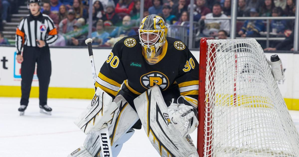 Jako dostat pěstí, líčí realitu NHL. Chtěl končit, teď v Bostonu převyšuje Čechy