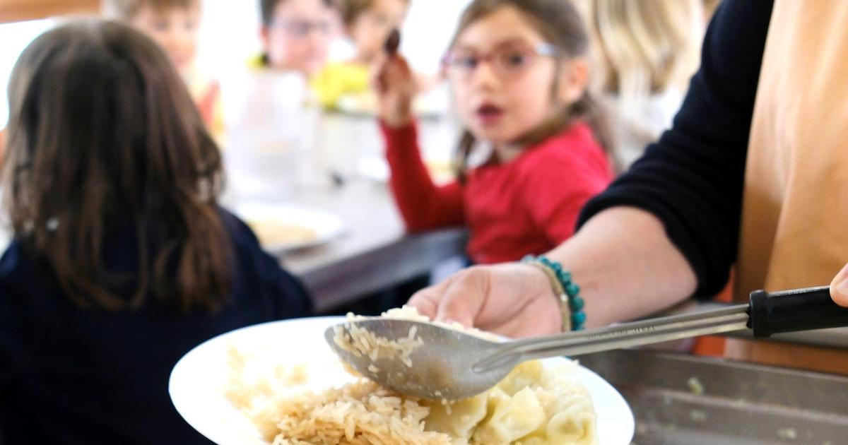Nakažených 240 dětí. Školu u Prahy sužuje salmonelóza