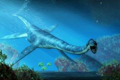 An,Elasmosaurus,Swims,Towards,You,In,Shallow,Seas.,This,Long