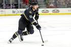 AHL: MAR 30 Rochester Americans at Cleveland Monsters