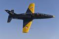 L-39 SKYFOX