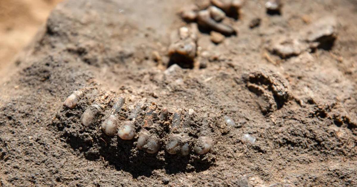 Už balili kufry. Poslední zářez do země odkryl hrob a rituál s cizími lebkami