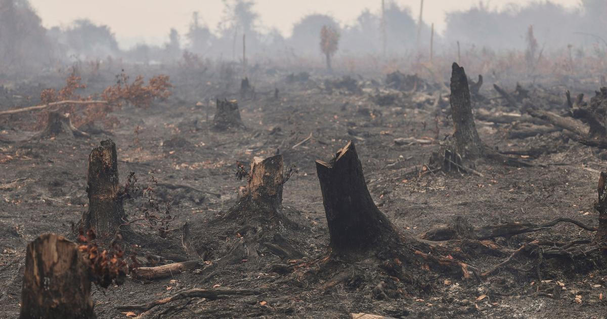 "Klimatická Godzilla" může zabít statisíce lidí. A poměrně brzo, varují vědci